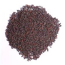 Mustard seed  from Aditya Ayurvedic Supply Co