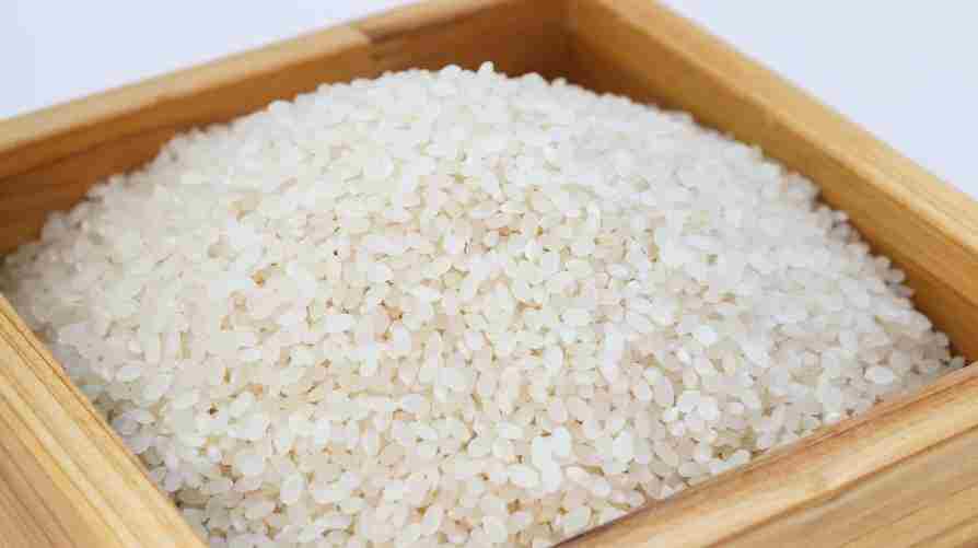 Organic Non Basmati Rice  from Rice Canvasing
