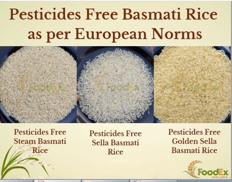 Basmati Rice from FoodEx Agro India