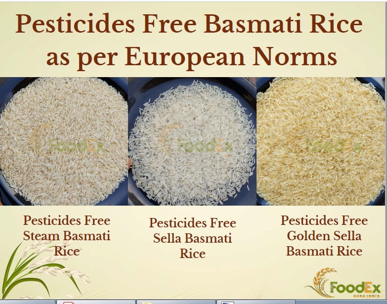 Basmati Rice