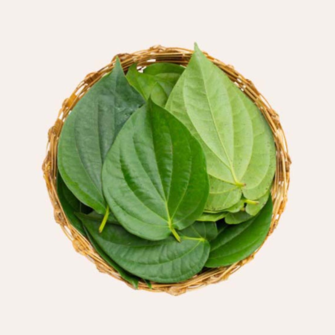 BETAL LEAF from Udaan Impex