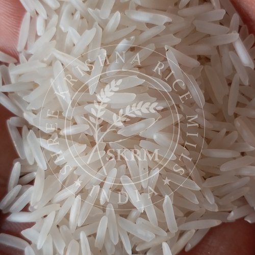 PUSA Raw Basmati Rice from Shree Krishna Rice Mills