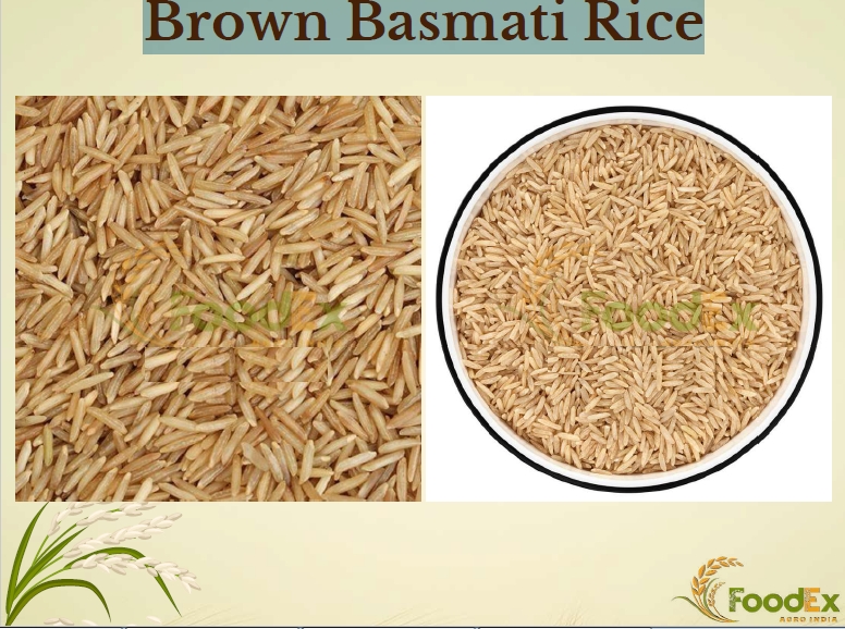 Brown Basmati Rice from FoodEx Agro India