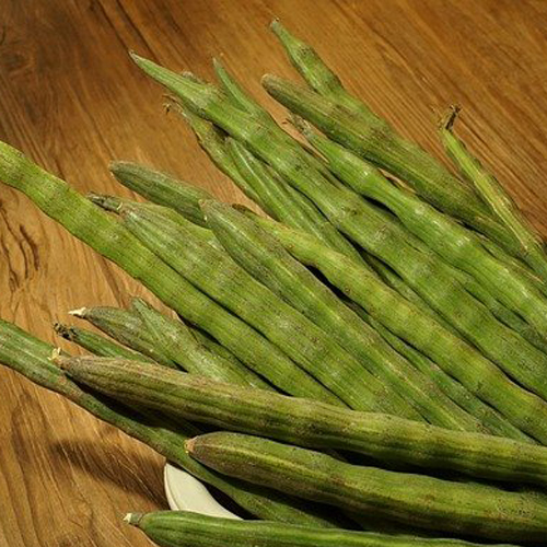 Organic Fresh Drumstick from EXPO TRADING