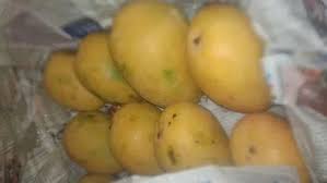 Amrapalli Mangoes from Amba Overseas