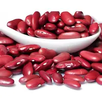Protein-Rich kidney beans 
