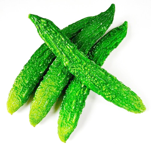 Organic Fresh Bitter gourd from EXPO TRADING