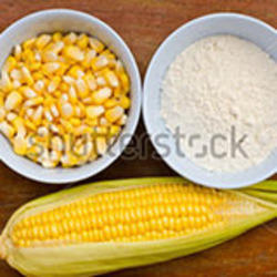 Maize Starch / Corn Flour