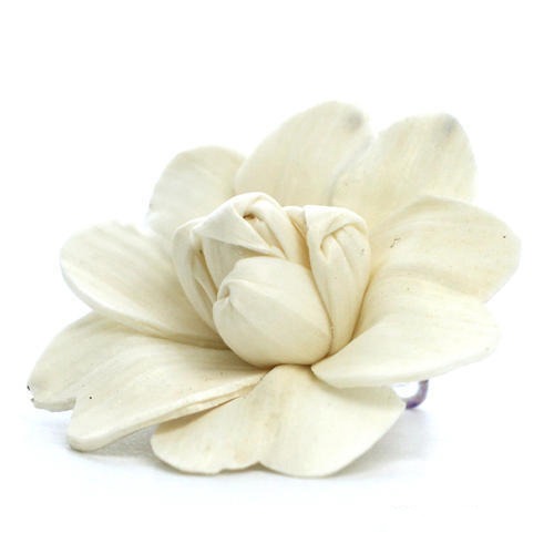 Hand made Shole dry Flower from Amit Jute Industries