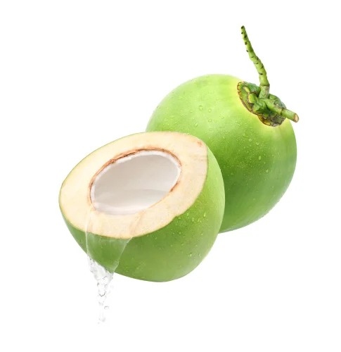 Big Size Green Coconut From Udaan Impex from Udaan Impex