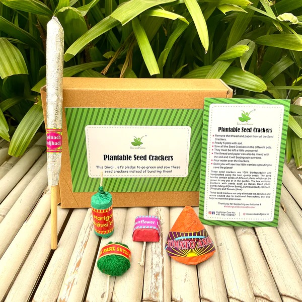 Plantable Diwali Crackers | Clay Seed Bombs | Set of 5 from Mohammed jalil & sons Diwali crackers