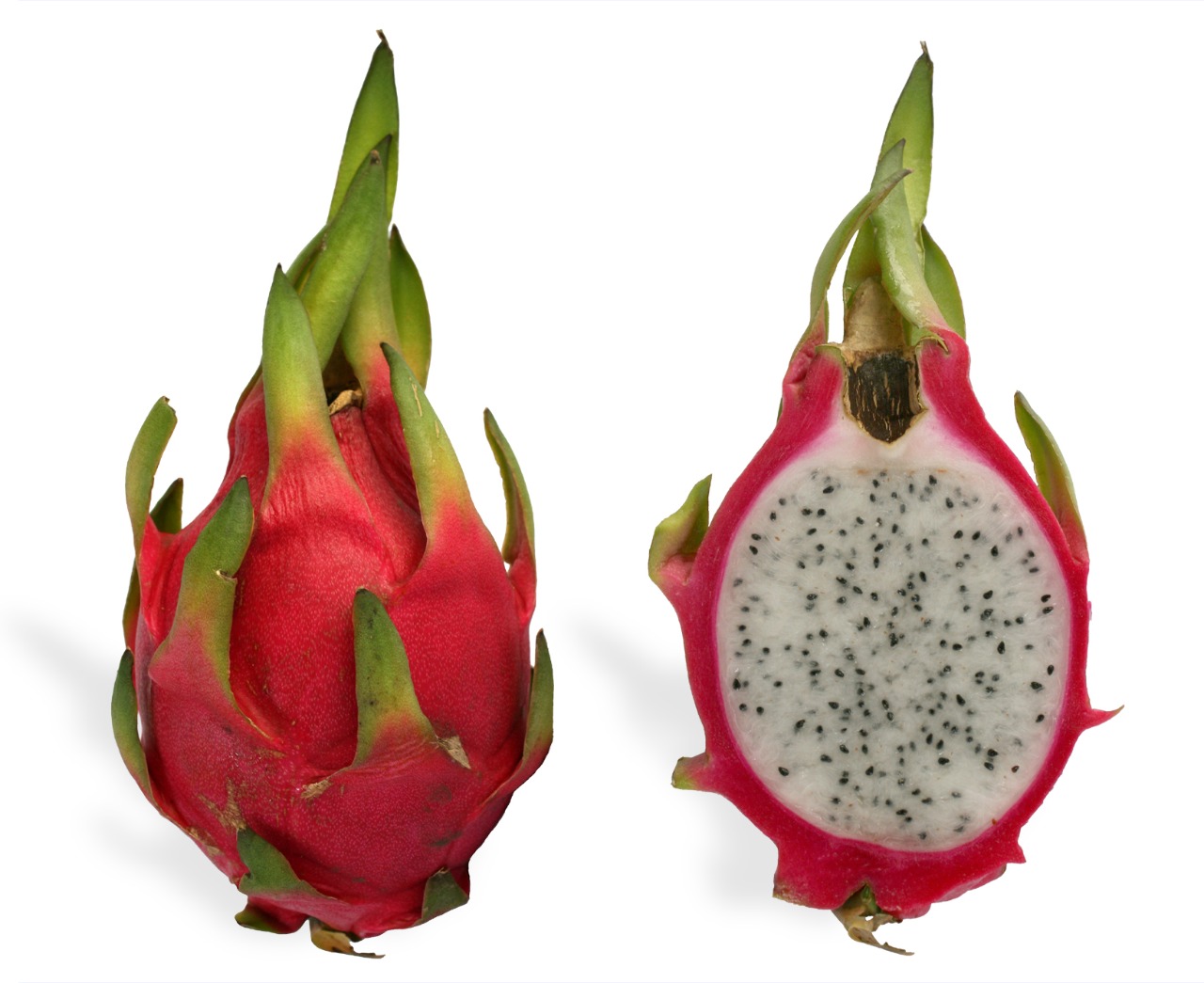white flesh pink Cover Dragon Fruit From Millennium Grains from Millennium Grains Imports & Exports