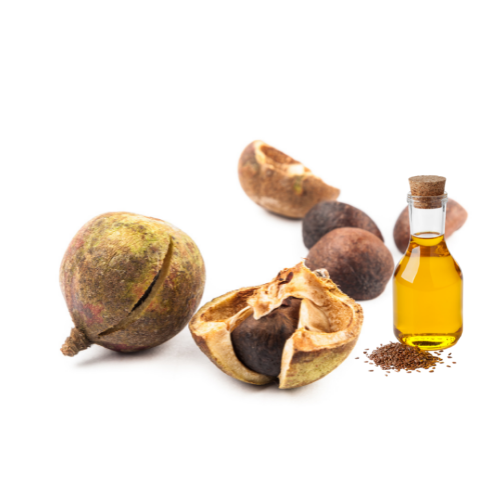 Tea Seed Oil from Origen Fresh EPZ kenya