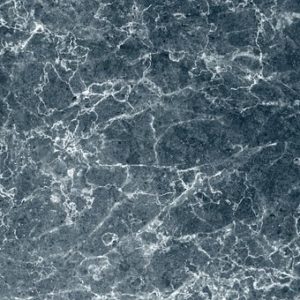MARINE BLACK MARBLE from Prem Marbles Pvt. Ltd.