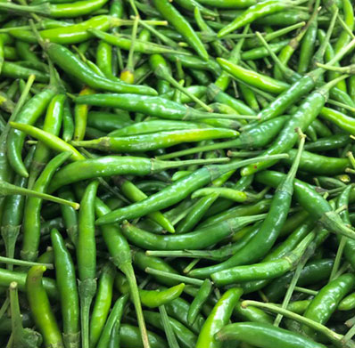 Fresh Green G4 Chilli from Delwai International Pvt Ltd