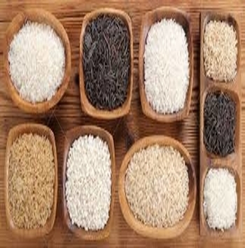 All Verity of Rice from KALINGA AGRO PRODUCTS & CO