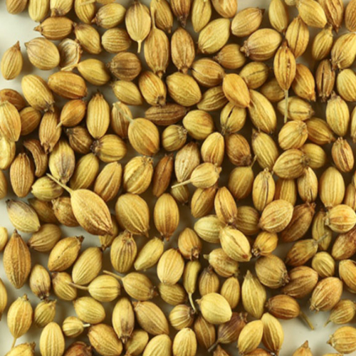 Best Quality Coriander from Rameshwaram Agro Exporters