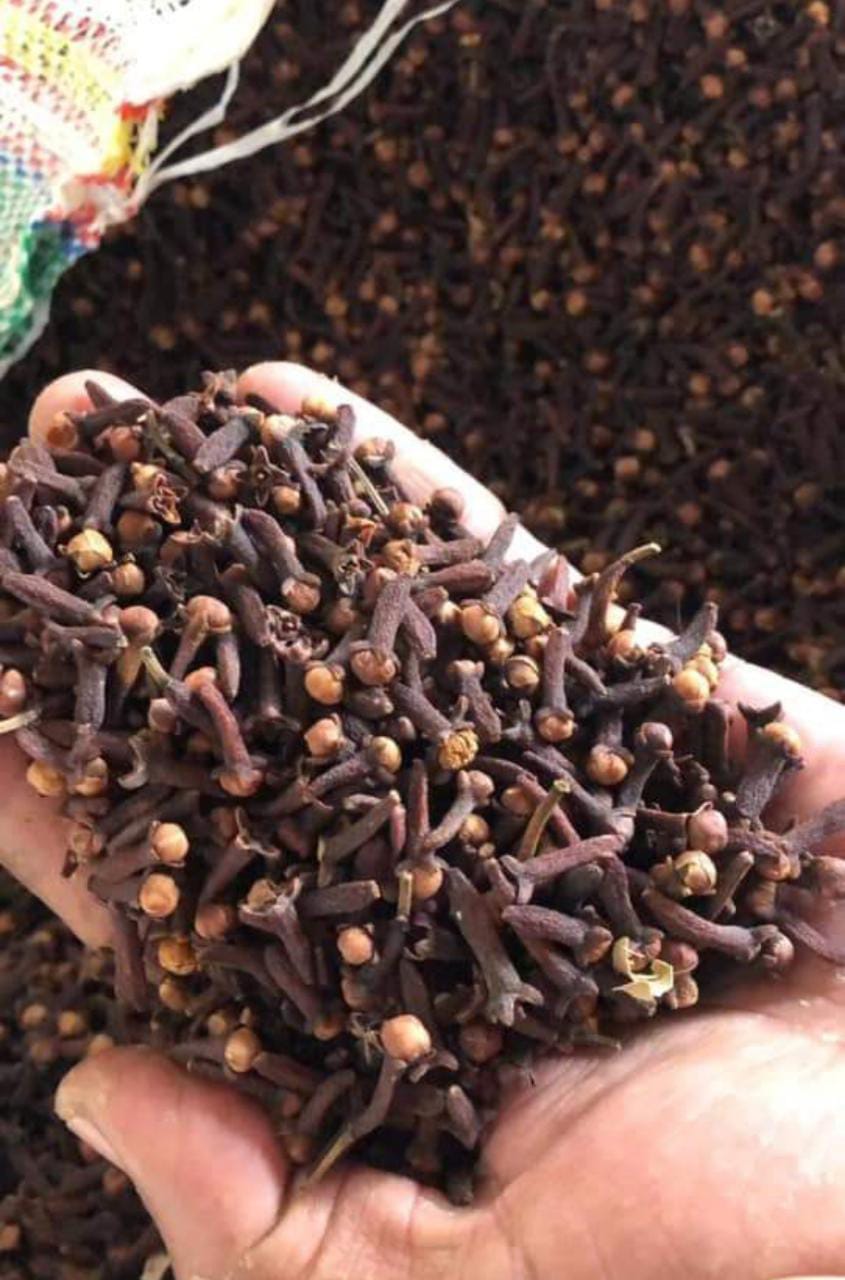 Whole Dry Clove