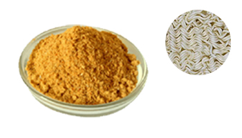 Good Testy Noodles Masala from BOS Natural Flavors P Ltd 