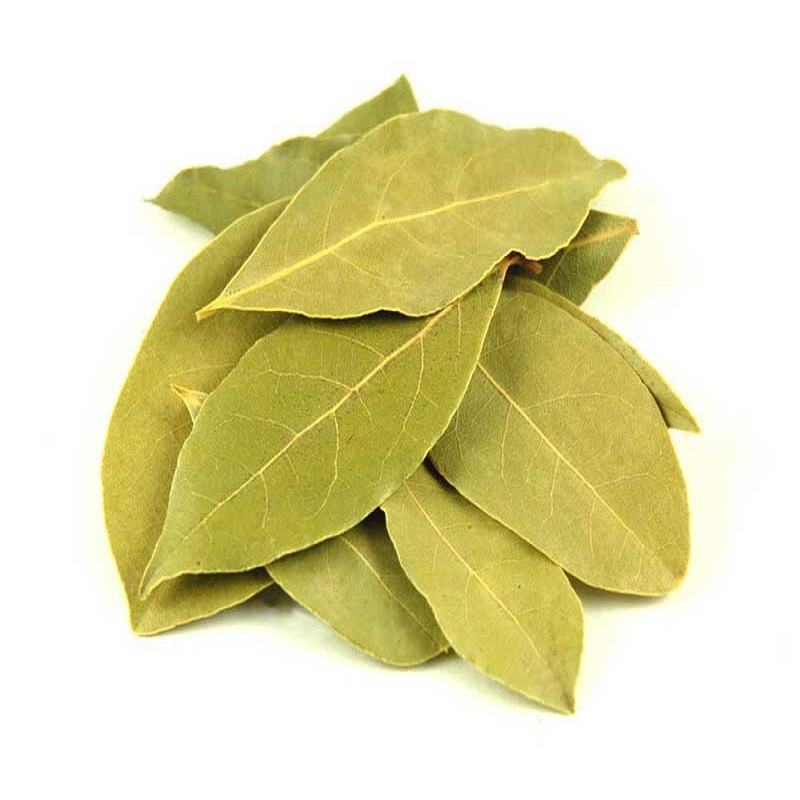 Export Quality Dried Bay Leaf