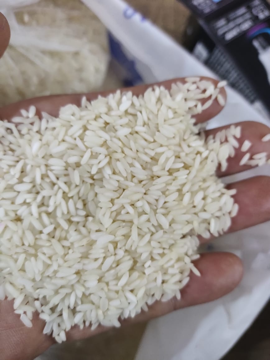 Best Quality White Rice - 5% Broken from Chandan Traders