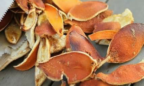 Dry Orange Cover from KING HERBS EXPORT IMPORT