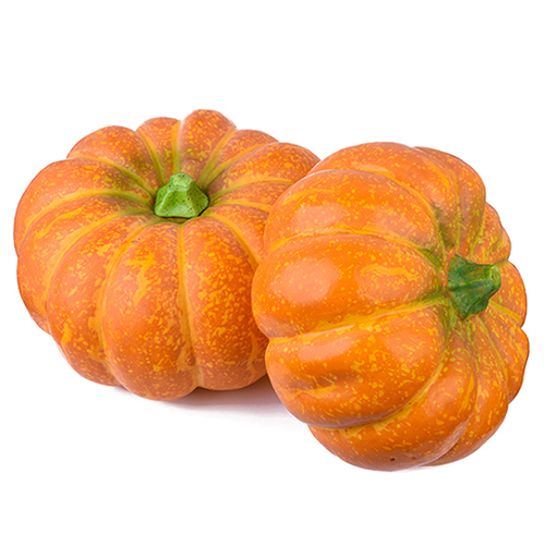 Premium Quality Natural Fresh Pumpkin For Wholesale from DINESH TRADER