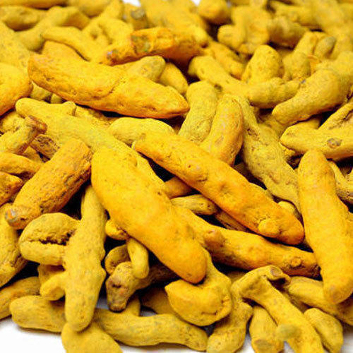 A Grade Best Quality Turmeric Finger from JUNED AND SONS