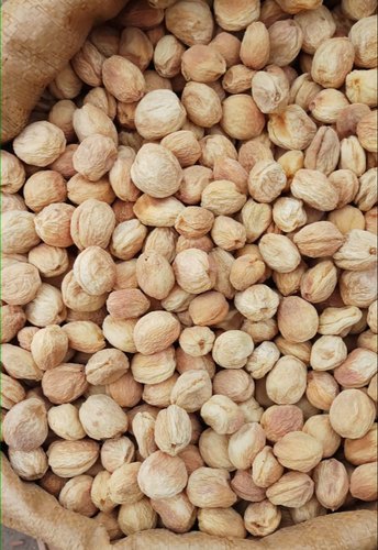 Dry Apricot from Retaj Agro Farm