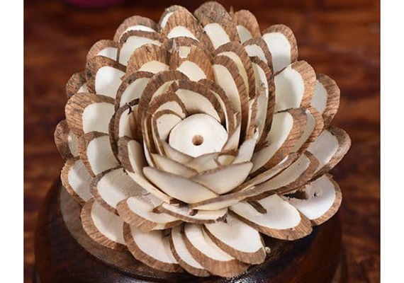 Shola dry Flowers  from Amit Jute Industries