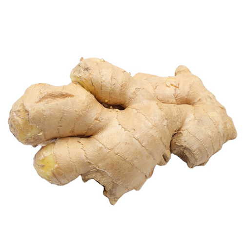 Premium Quality Natural Fresh Ginger For Wholesale from DINESH TRADER
