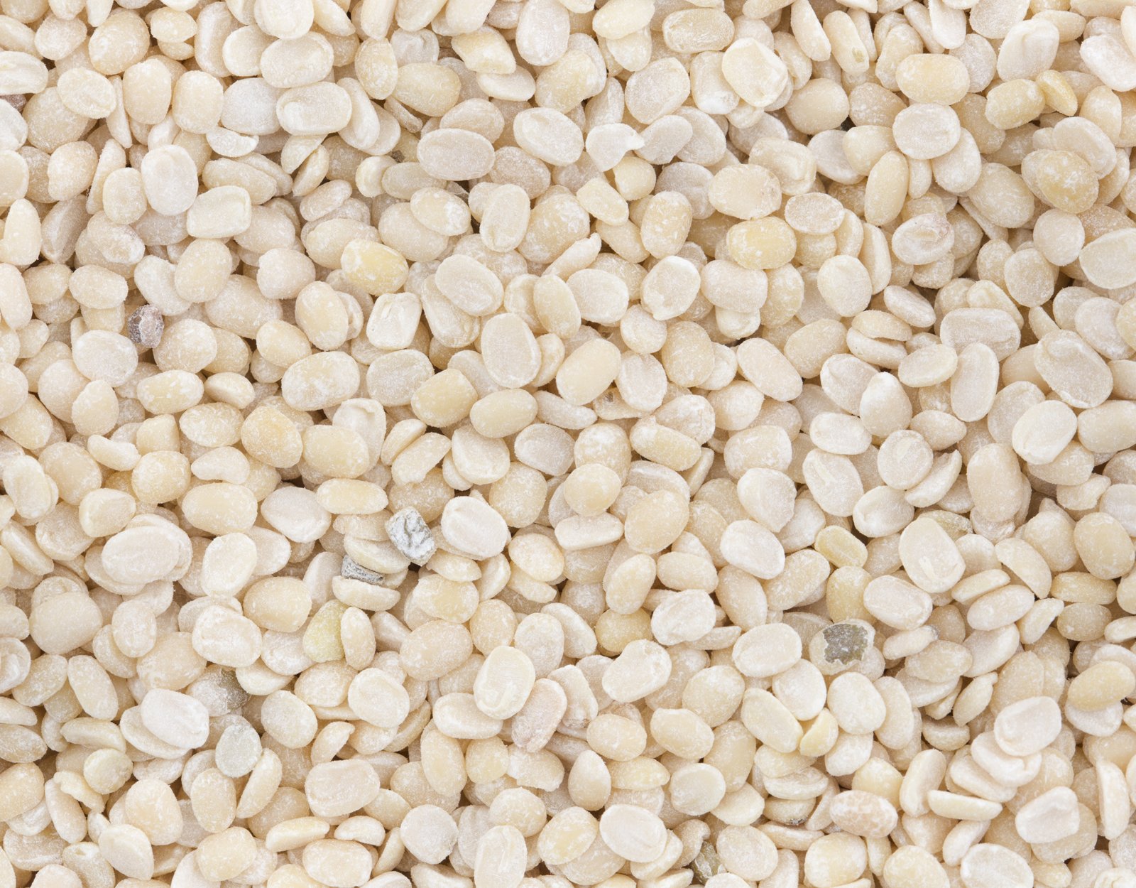 Split White Urad Dal from BYAGHRADEVI ENTERPRISES