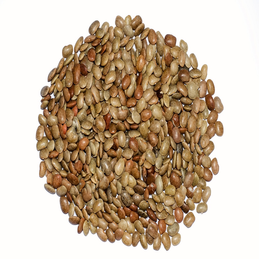 Export Quality Horse Gram from BYAGHRADEVI ENTERPRISES