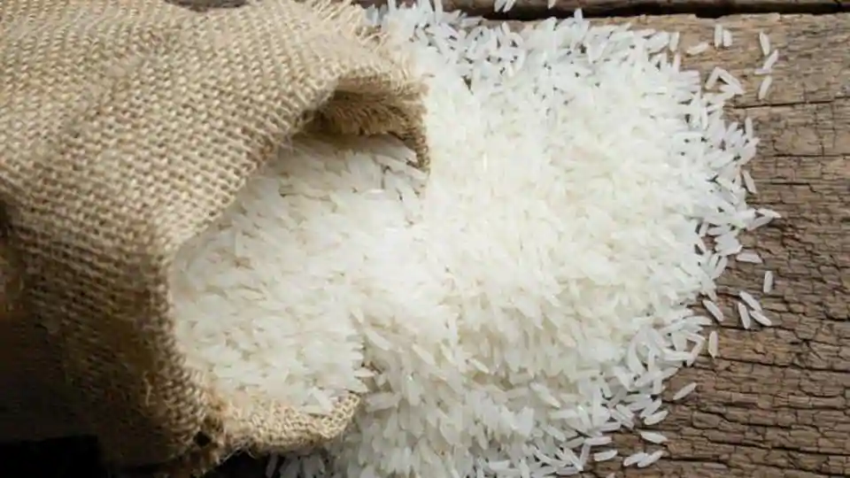 White Non Basmati Rice from Rice Canvasing