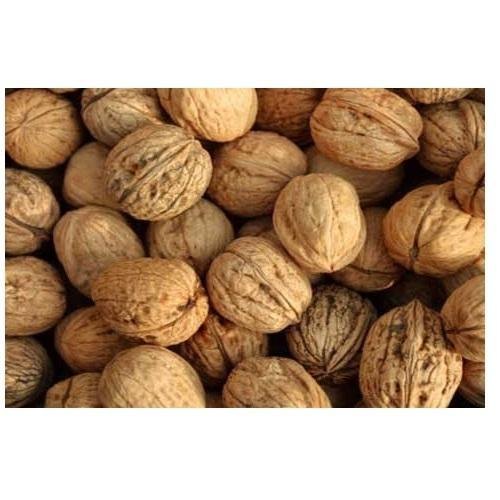 Organic Kashmiri Kagzi Walnut from Retaj Agro Farm