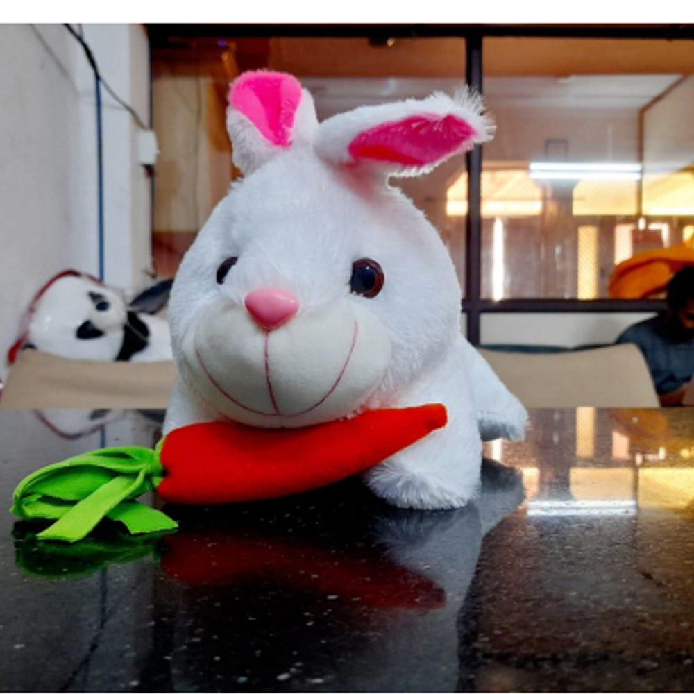 White Rabbit Soft Toy for Kids from LM toys