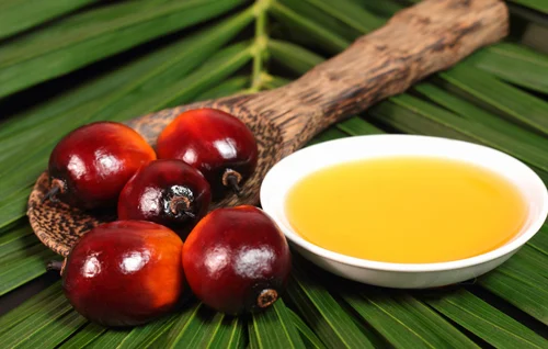 Good Health Cooking Palm Oil at Best Price From Delwai International Pvt Ltd. from Delwai International Pvt Ltd