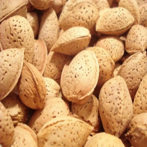 Kashmiri Kagzi Almond from Retaj Agro Farm