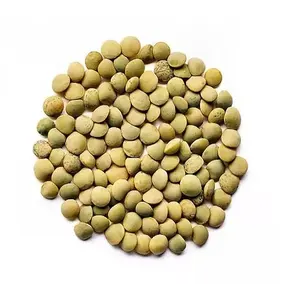 Natural, Organic-Quality green laird lentils 