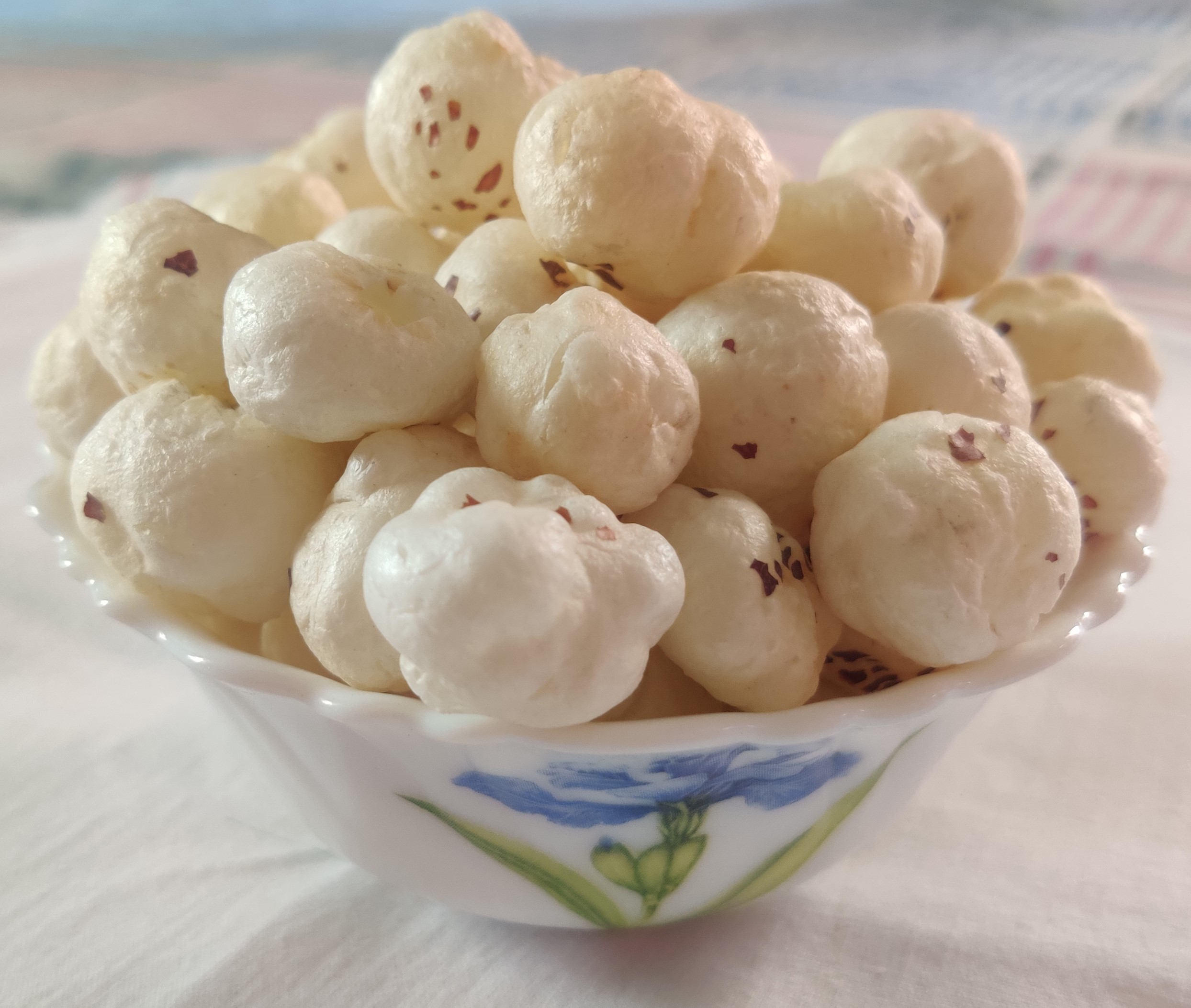 Foxnut from Shubhagri Exim