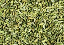 Saunf - fennel Seed  from Aditya Ayurvedic Supply Co