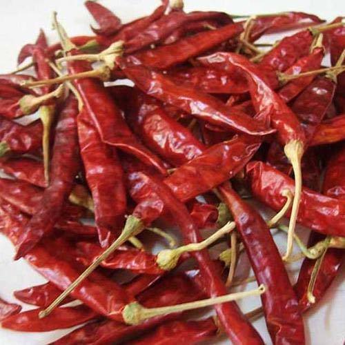 Best Quality Dried Red Chilli from JUNED AND SONS