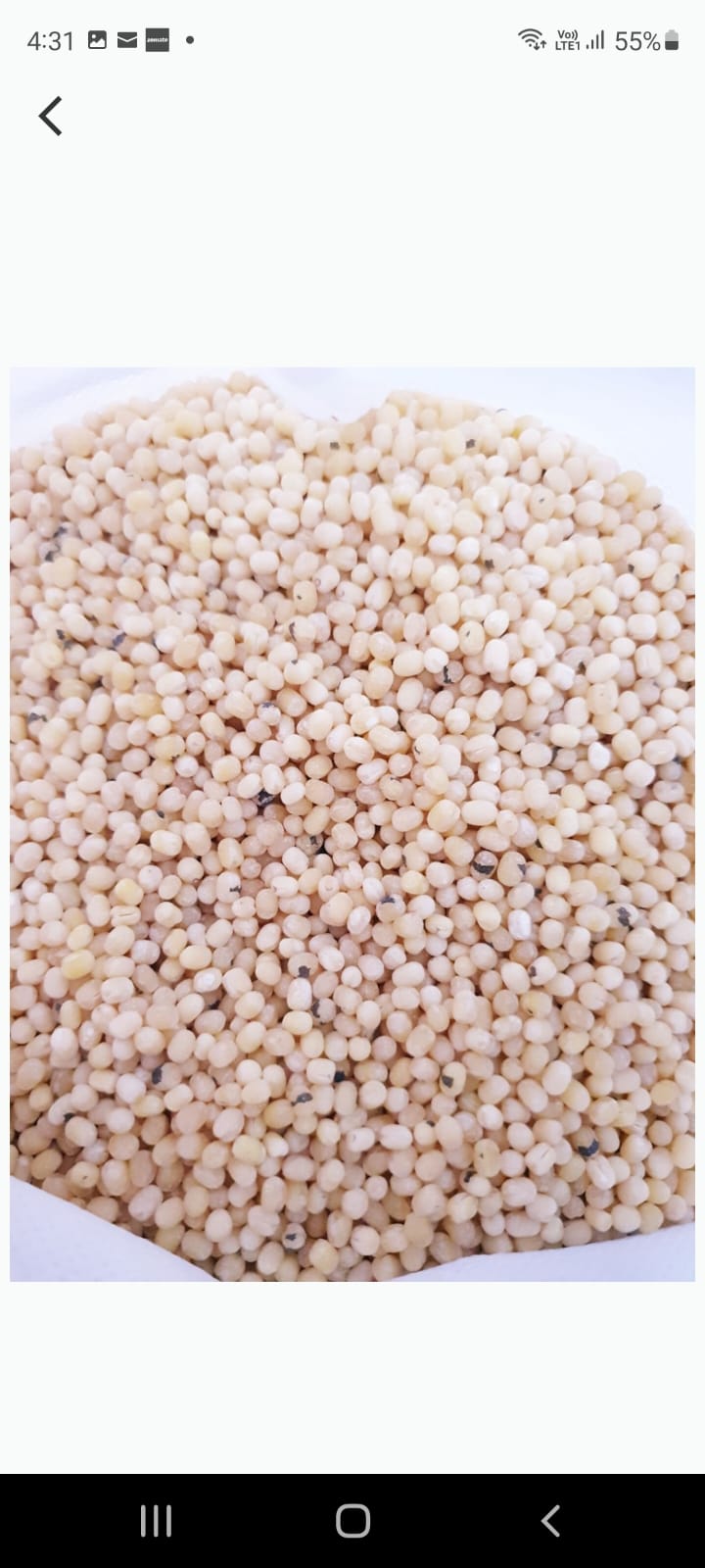 Organic whole white urud dhal 