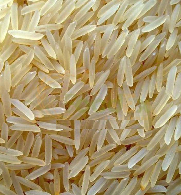 Sharbati Golden Sella Basmati Rice from FoodEx Agro India