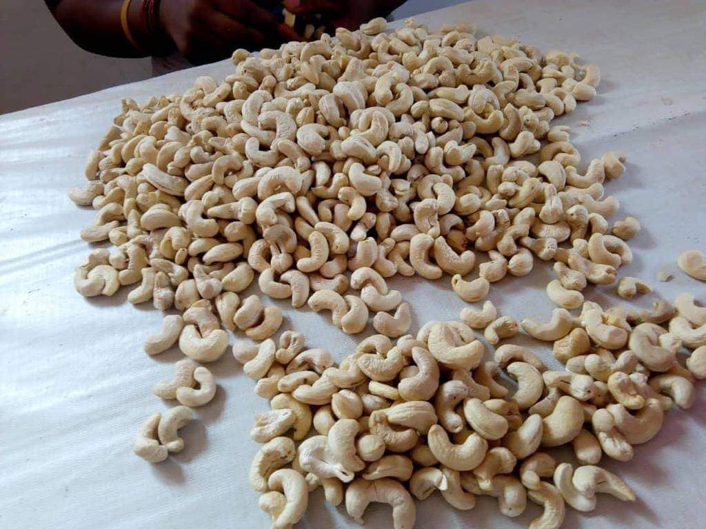Best Quality Cashew nuts 
