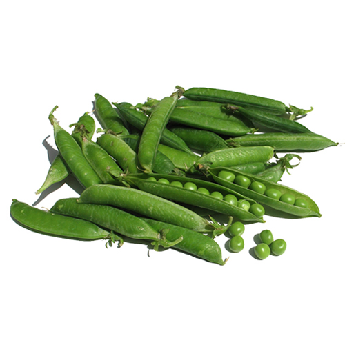 Premium Quality Natural Fresh Green Peas For Wholesale from DINESH TRADER