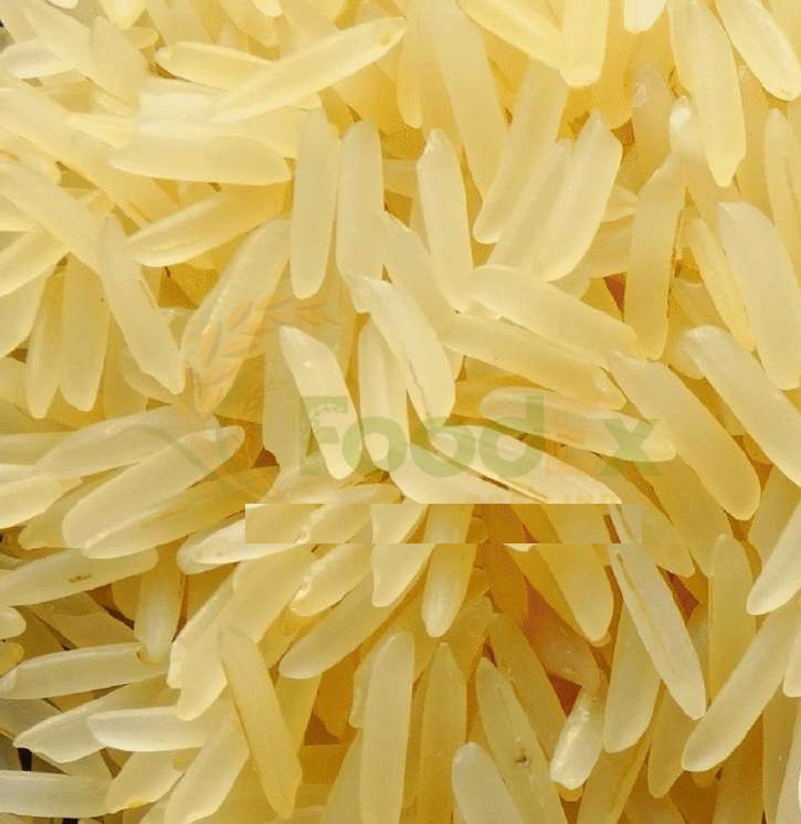 Sugandha Golden Sella Basmati Rice from FoodEx Agro India