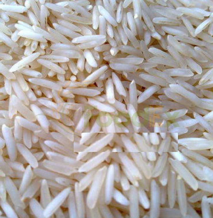 1401 Steam Basmati Rice from FoodEx Agro India
