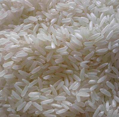 SWARNA RICE FROM PRAMODA EXIM CORPORATION