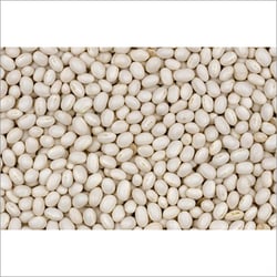 Top Quality White Beans
